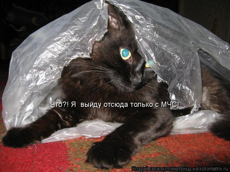 Что?! Я выйду отсюда только с МЧС!... Котоматрица: Что?! Я выйду отсюда только с МЧС!