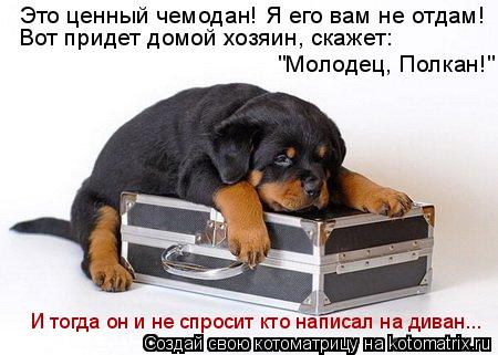 Котоматрица: Это ценный чемодан! Я его вам не отдам! Вот придет домой хозяин, скажет: "Молодец, Полкан!" И тогда он и не спросит кто написал на диван...