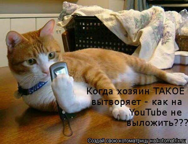 Котоматрица: Когда хозяин ТАКОЕ  вытворяет - как на YouTube не  выложить???