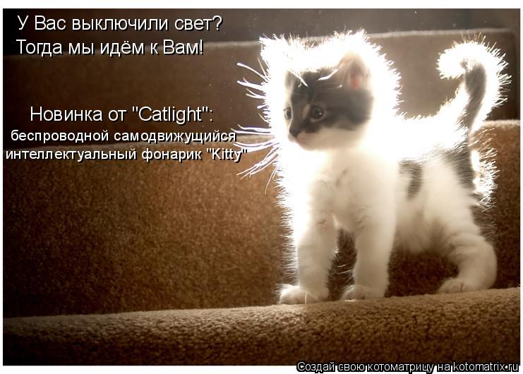 Котоматрица: У Вас выключили свет? Тогда мы идём к Вам! Новинка от "Catlight": беспроводной самодвижущийся  интеллектуальный фонарик "Kitty"