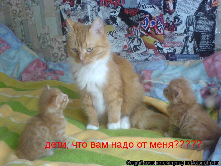 Котоматрица: дети, что вам надо от меня?????