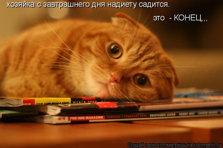 Котоматрица: хозяйка с завтрашнего дня надиету садится. это  - КОНЕЦ,,,