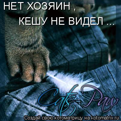 Котоматрица: НЕТ ХОЗЯИН ,  КЕШУ НЕ ВИДЕЛ ...