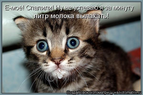 Котоматрица: Е-моё! Спалили! Ну не успеваю я за минуту литр молока вылакать!
