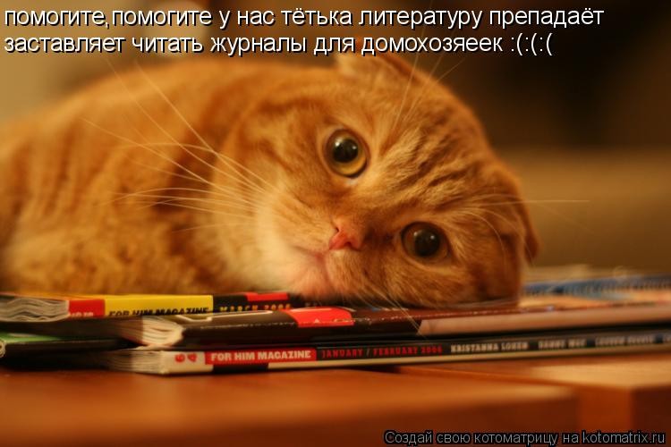 помогите,помогите у нас тётька литературу препадаёт заставляет читать журналы для домохозяеек :(:(:(... Котоматрица: помогите,помогите у нас тётька литературу препадаёт заставляет читать журналы для домохозяеек :(:(:(