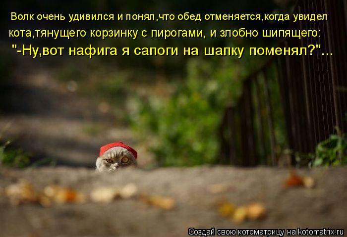 Котоматрица: "-Ну,вот нафига я сапоги на шапку поменял?"... Волк очень удивился и понял,что обед отменяется,когда увидел  кота,тянущего корзинку с пирогами,