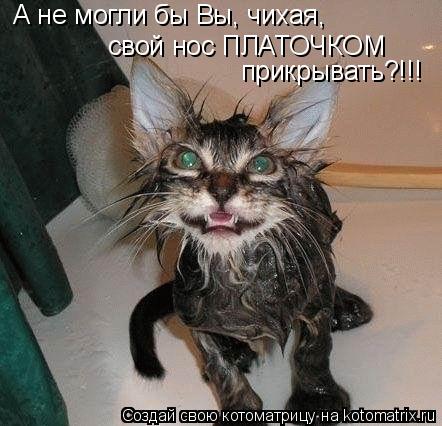 Котоматрица: А не могли бы Вы, чихая, свой нос ПЛАТОЧКОМ прикрывать?!!!