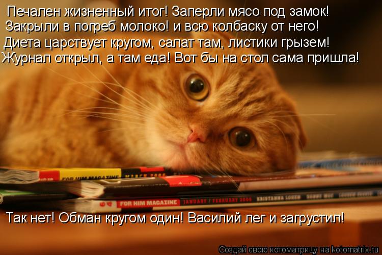 Котоматрица: Печален жизненный итог! Заперли мясо под замок! Закрыли в погреб молоко! и всю колбаску от него! Диета царствует кругом, салат там, листики г