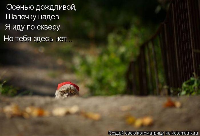 Котоматрица: Осенью дождливой, Шапочку надев Я иду по скверу, Но тебя здесь нет...