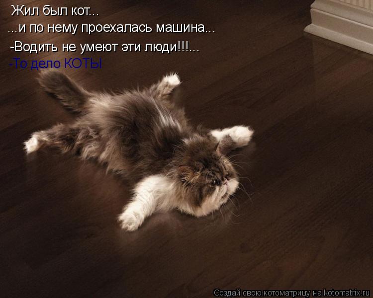 Котоматрица: Жил был кот... ...и по нему проехалась машина... -Водить не умеют эти люди!!!... -То дело КОТЫ