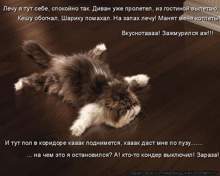 Котоматрица: Лечу я тут себе, спокойно так. Диван уже пролетел, из гостиной вылетаю,  Кешу обогнал, Шарику помахал. На запах лечу! Манят меня котлеты!  Вкус