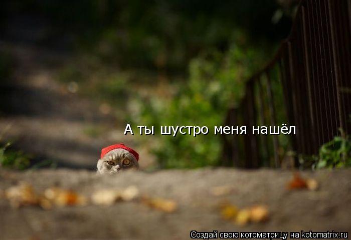 Котоматрица: А ты шустро меня нашёл