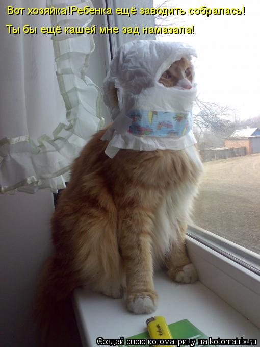 Котоматрица: Вот хозяйка!Ребенка ещё заводить собралась! Ты бы ещё кашей мне зад намазала!