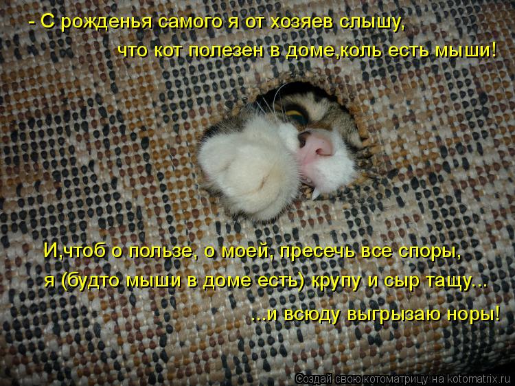 Котоматрица: - С рожденья самого я от хозяев слышу, что кот полезен в доме,коль есть мыши! И,чтоб о пользе, о моей, пресечь все споры, я (будто мыши в доме ест