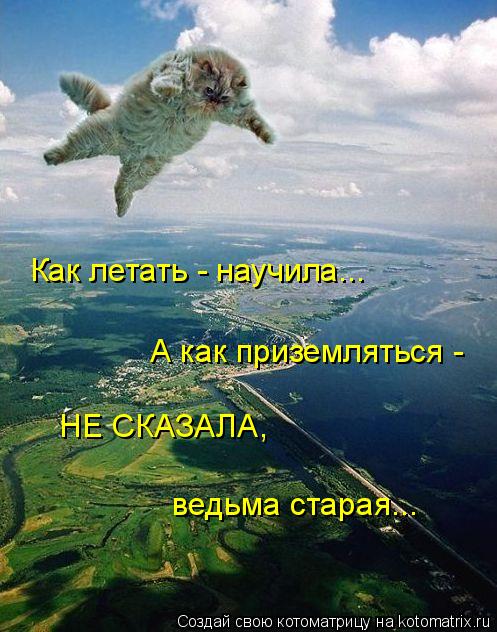 Котоматрица: Как летать - научила... А как приземляться - НЕ СКАЗАЛА, ведьма старая...