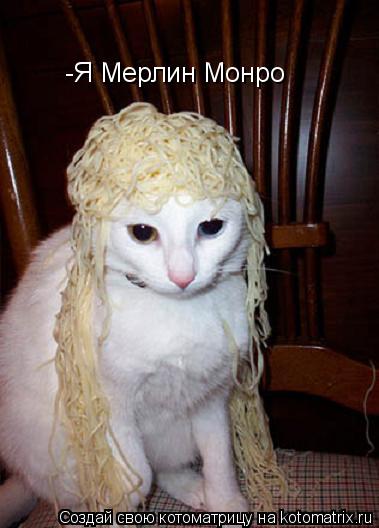 Котоматрица: -Я Мерлин Монро