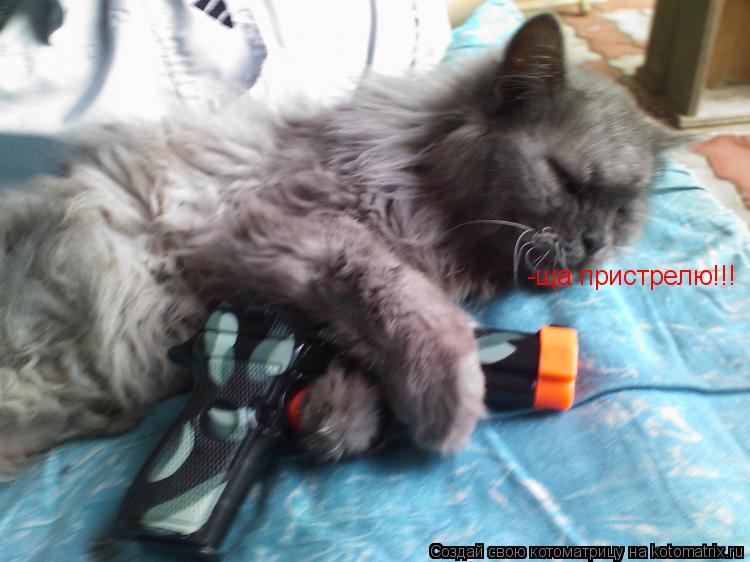 Котоматрица: -ща пристрелю!!!
