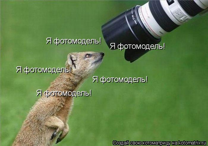 Я фотомодель! Я фотомодель! Я фотомодель! Я фотомодель! Я фотомодель!... Котоматрица: Я фотомодель! Я фотомодель! Я фотомодель! Я фотомодель! Я фотомодель!