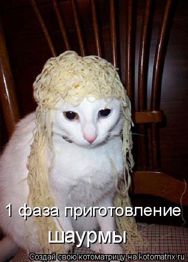 Котоматрица: 1 фаза приготовление  шаурмы