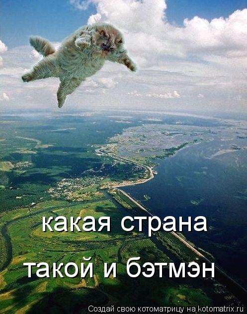 Котоматрица: какая страна  такой и бэтмэн