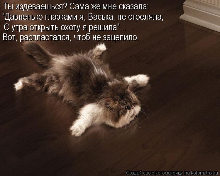 Котоматрица: Ты издеваешься? Сама же мне сказала: "Давненько глазками я, Васька, не стреляла, С утра открыть охоту я решила"... Вот, распластался, чтоб не за
