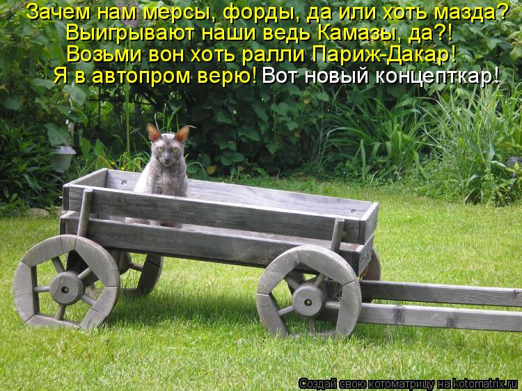 Котоматрица: Зачем нам мерсы, форды, да или хоть мазда? Выигрывают наши ведь Камазы, да?! Возьми вон хоть ралли Париж-Дакар! Я в автопром верю!  Вот новый ко