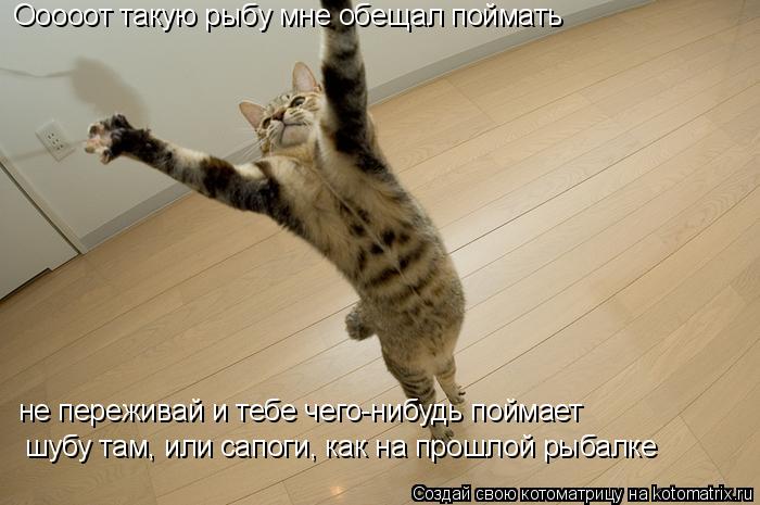 Котоматрица: Ооооот такую рыбу мне обещал поймать не переживай и тебе чего-нибудь поймает шубу там, или сапоги, как на прошлой рыбалке