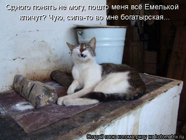 Котоматрица: Одного понять не могу, пошто меня всё Емелькой кличут? Чую, сила-то во мне богатырская...