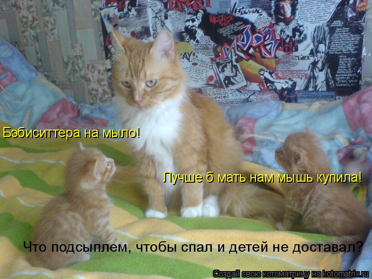 Котоматрица: Бэбиситтера на мыло! Лучше б мать нам мышь купила! Что подсыплем, чтобы спал и детей не доставал?