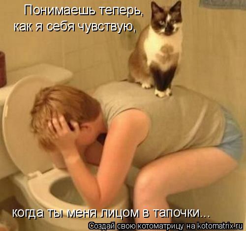Котоматрица: Понимаешь теперь, как я себя чувствую, когда ты меня лицом в тапочки...