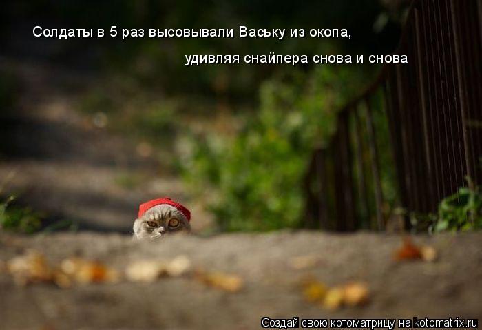 Котоматрица: удивляя снайпера снова и снова Солдаты в 5 раз высовывали Ваську из окопа,