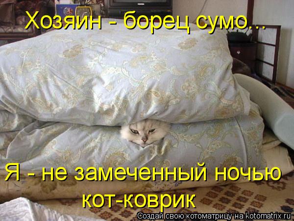 Котоматрица: Хозяин - борец сумо... Я - не замеченный ночью кот-коврик