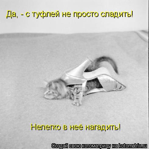 Котоматрица: Да, - с туфлей не просто сладить! Нелегко в неё нагадить!