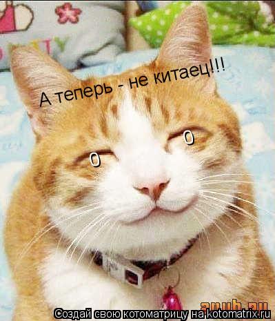 Котоматрица: 0                 0 А теперь - не китаец!!!