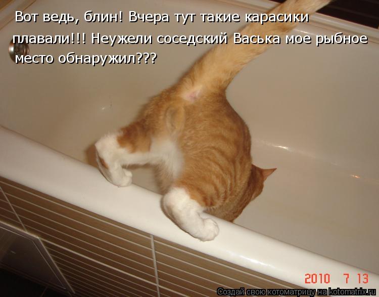 Котоматрица: Вот ведь, блин! Вчера тут такие карасики плавали!!! Неужели соседский Васька мое рыбное место обнаружил???