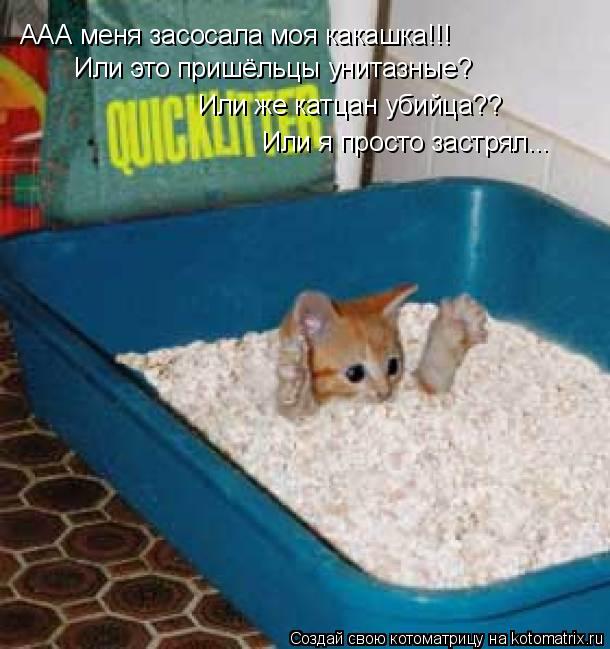 Котоматрица: ААА меня засосала моя какашка!!! Или это пришёльцы унитазные? Или же катцан убийца?? Или я просто застрял...