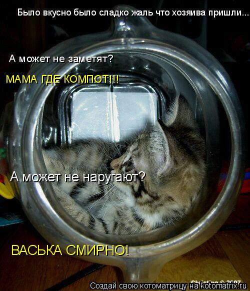 Котоматрица: МАМА ГДЕ КОМПОТ!!!  А может не заметят?  Было вкусно было сладко жаль что хозяива пришли....  А может не наругают? ВАСЬКА СМИРНО!