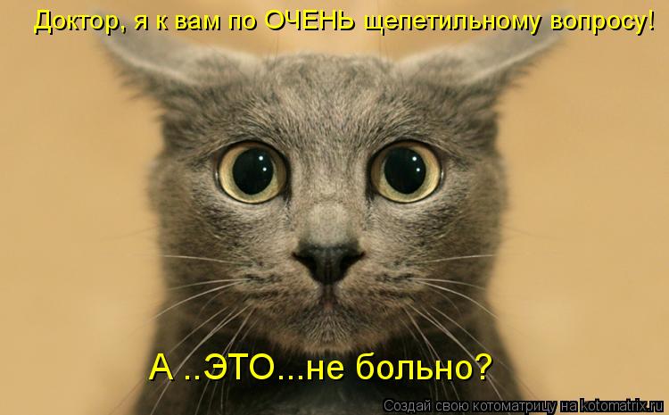 Котоматрица: Доктор, я к вам по ОЧЕНЬ щепетильному вопросу! А ..ЭТО...не больно?