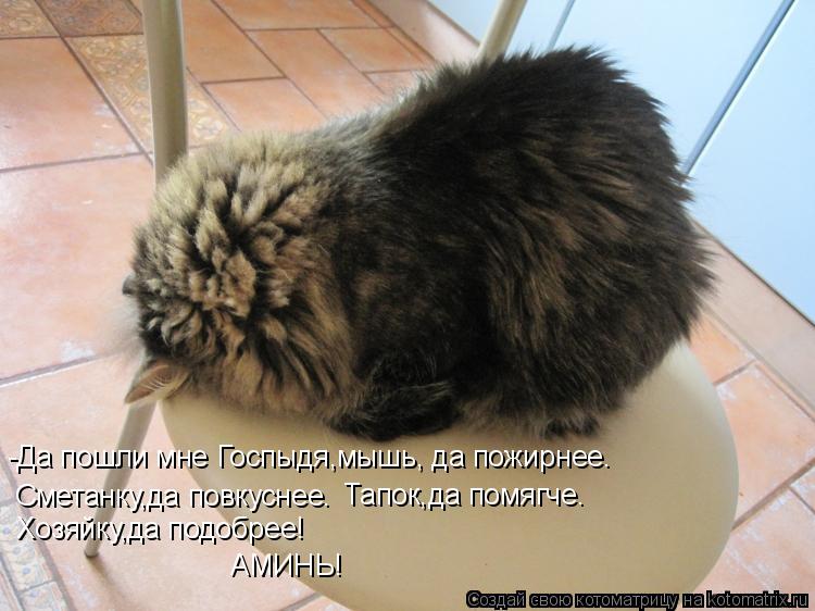 Котоматрица: -Да пошли мне Госпыдя,мышь, да пожирнее. Сметанку,да повкуснее. Тапок,да помягче. Хозяйку,да подобрее! АМИНЬ!