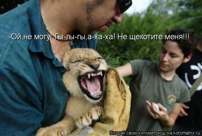 Котоматрица: -Ой,не могу! Гы-гы-гы,а-ха-ха! Не щекотите меня!!!