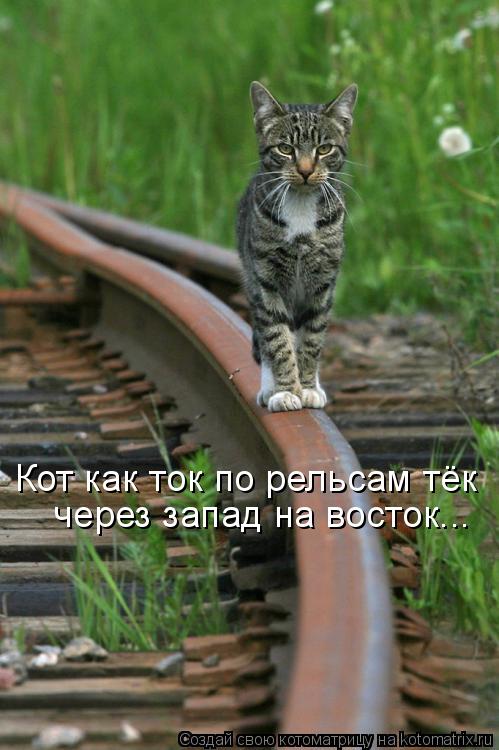Котоматрица: Кот как ток по рельсам тёк через запад на восток...