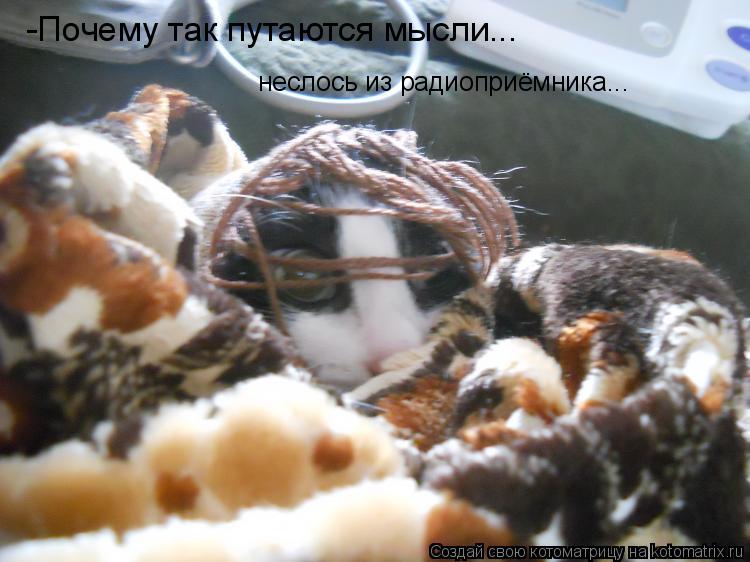 Котоматрица: -Почему так путаются мысли...  неслось из радиоприёмника...