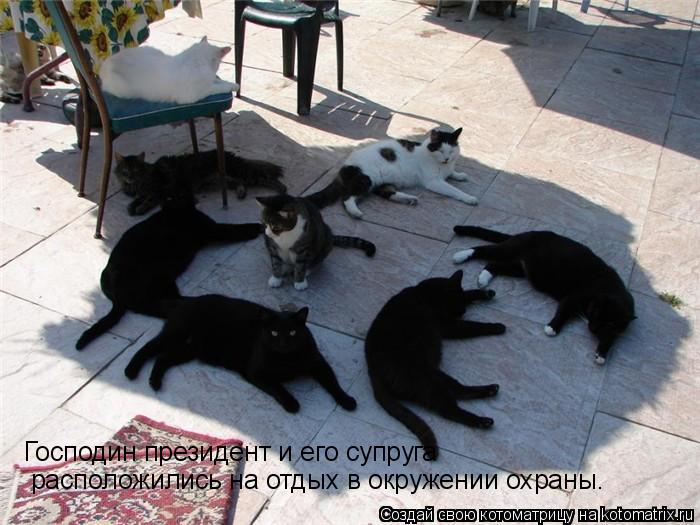 Котоматрица: Господин президент и его супруга расположились на отдых в окружении охраны.