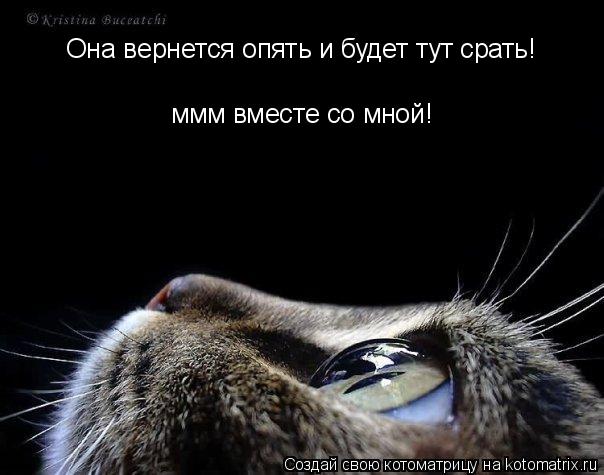 Она вернется опять и будет тут срать! ммм вместе со мной!... Котоматрица: Она вернется опять и будет тут срать! ммм вместе со мной!