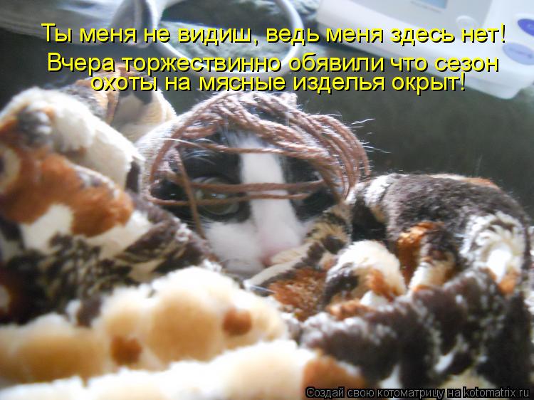 Котоматрица: Ты меня не видиш, ведь меня здесь нет! Вчера торжествинно обявили что сезон охоты на мясные изделья окрыт!