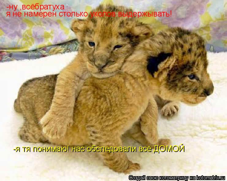 Котоматрица: -ну ,всёбратуха  я не намерен столько уколов выдержывать! -я тя понимаю! нас обследовали всё ДОМОЙ