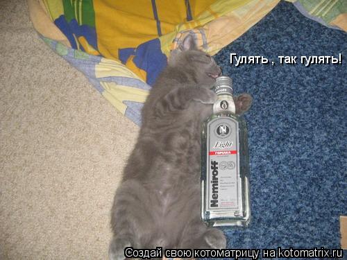Котоматрица: Гулять , так гулять!