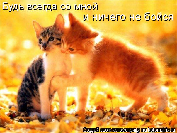 Котоматрица: Будь всегда со мной и ничего не бойся