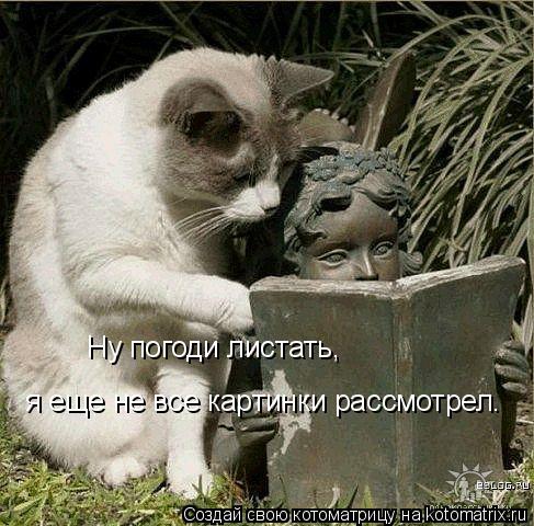 Котоматрица: Ну погоди листать, я еще не все картинки рассмотрел.
