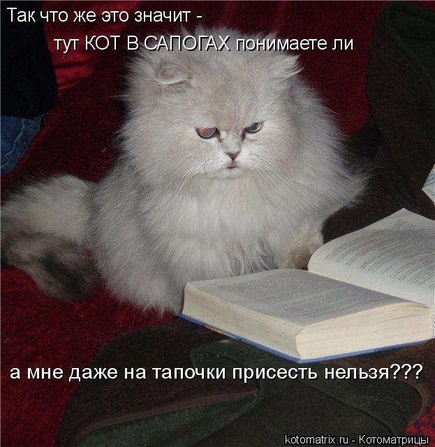 Котоматрица: Так что же это значит -  тут КОТ В САПОГАХ понимаете ли а мне даже на тапочки присесть нельзя???